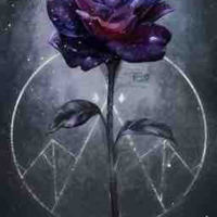Thành viên hội Black Rose