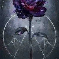 Thành viên hội Black Rose