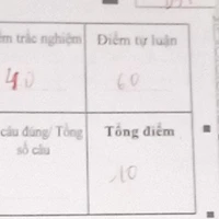 Con TG bị ngu Văn,Anh,Toán🤡🖕