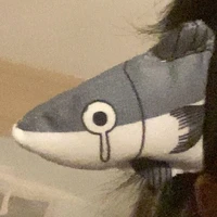 𝟸𝟶𝟸𝟺.