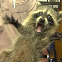 [ Hệ thống choz má ]