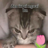 T/G depzai s1 tg