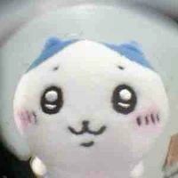 @𝐦𝐨𝐧𝐠𝐝𝐢𝐧𝐡 | 𝐱𝐧