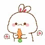 Thỏ Con