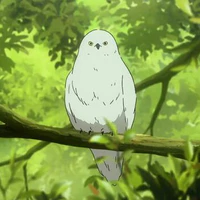 Fuu