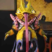 Ruretta regou ( gangler)