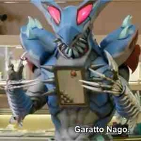 Garatto Nago