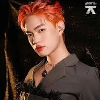 Nguyễn Thanh Pháp _nhị đại