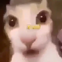 (Unknown Person)