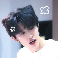 Trương Cực