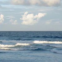 Hiệu trưởng
