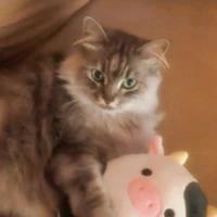 Gorby
