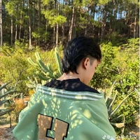 Hiha