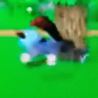 t/g chính(moo)