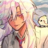 hiha hologram