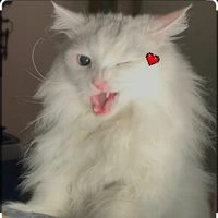 t/g bị ảo tưởng