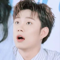 dương domic