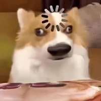 T/G vô tri