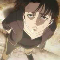 Ackerman Levi