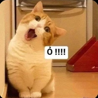 tác giả