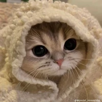 t/g lười làm