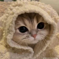 t/g lười làm