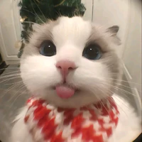 Tiểu Lii<3
