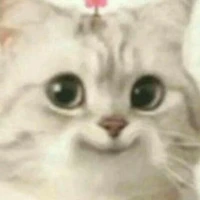 cân mọi loại vai diễn