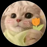 Hoàng Minhh