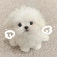 tg:3