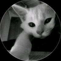 all top ( trừ ai thì -)