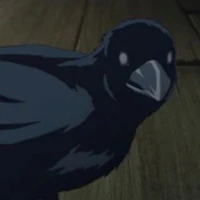 Tất cả quạ trong KnY.