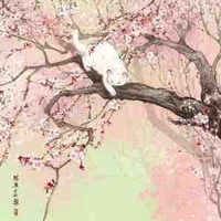 Lấy chồng Giàu