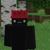 winz