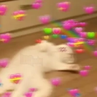 hệ thống 143 (runisa nữ)