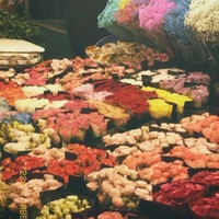 Người dẫn chuyện