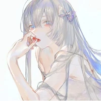 Elinor Bakers_The Liar