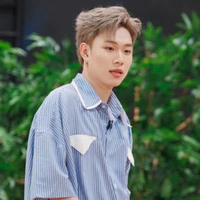 dương domic