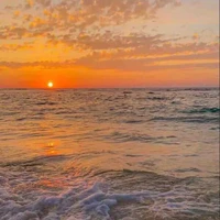 Bạn thụ kiếp trước