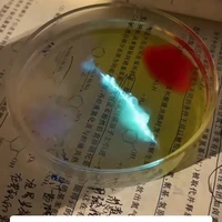 GSJ_901