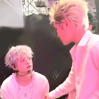 tác giả ( yêu các vợ )