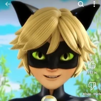 Cat Noir