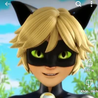 Cat Noir