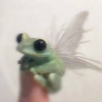 ngnghiemtue aka hoagn nhi