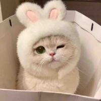 Lời nhắn của tác giả