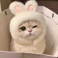 Lời nhắn của tác giả