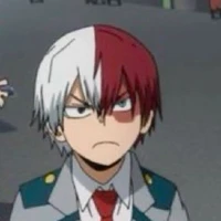 Shouto Todoroki 