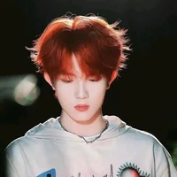 Tô Tân Hạo