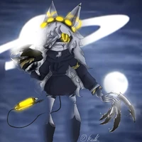 SD-W