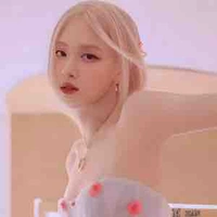 Park Chaeyoung( nàng ) 